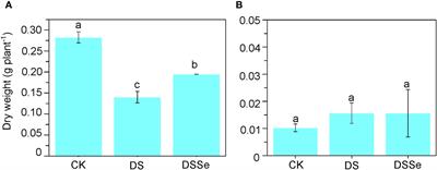 Mechanistic basis for mitigating drought tolerance by selenium application in tobacco (Nicotiana tabacum L.): a multi-omics approach